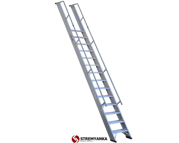 Драбина з поручнями SVELT GIORNO MAXI 12 сходинок SCGIORM12 фото