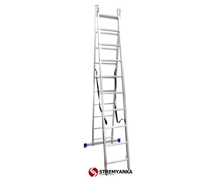 Драбина універсальна WERK 2x10 сходинок LZ2110Q 36786 фото
