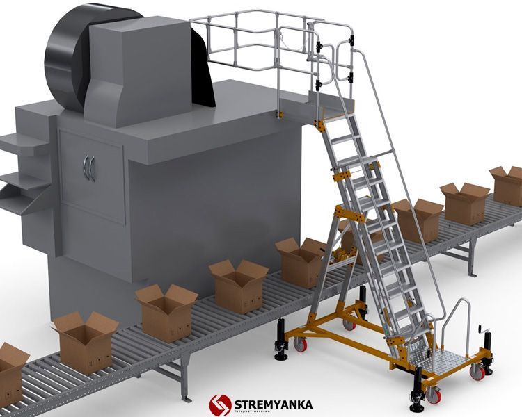 Драбина для обслуговування цистерн зі сходами 3м MONTANA VIRASTAR YP300 фото
